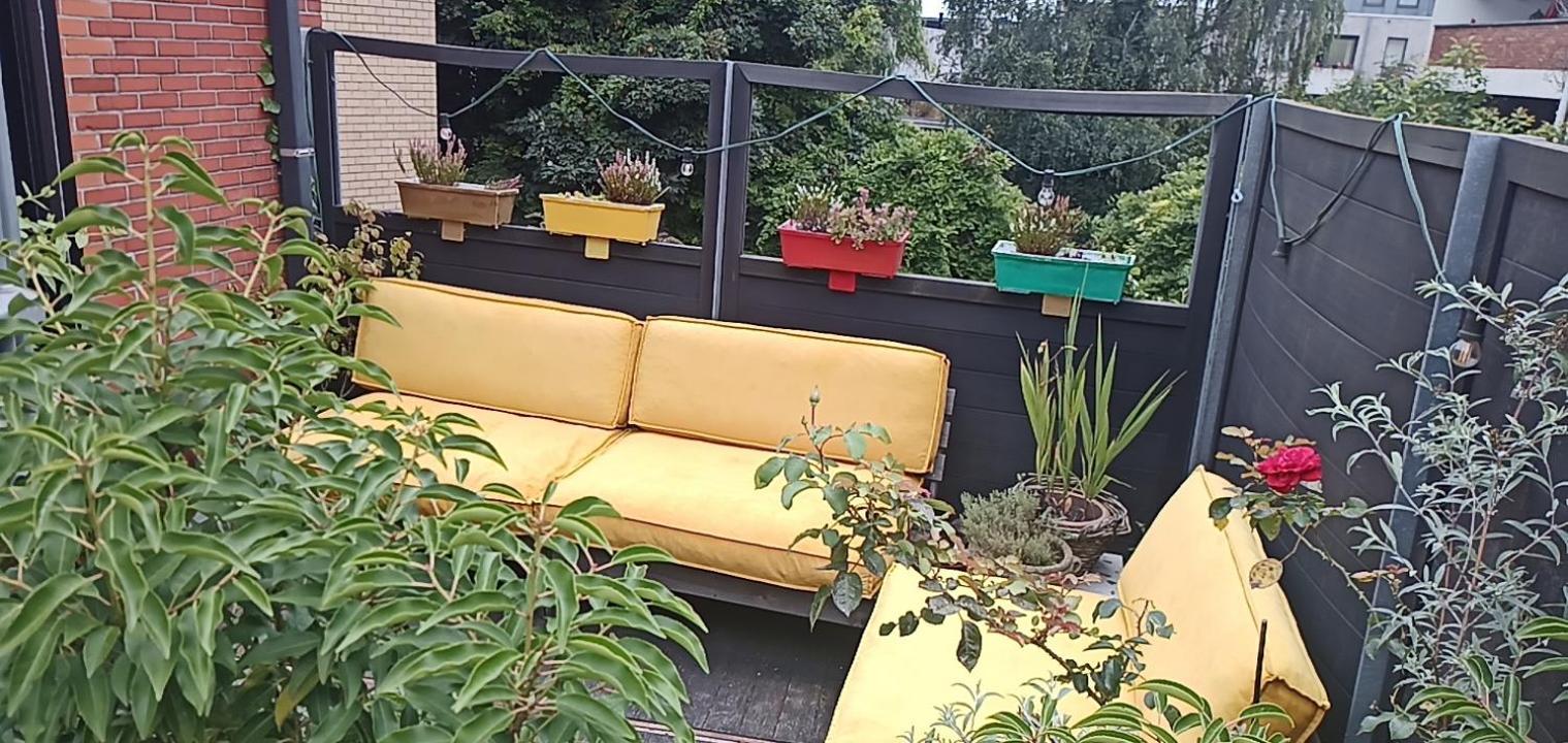 Lodgerivierenhof Antwerpen Ngoại thất bức ảnh