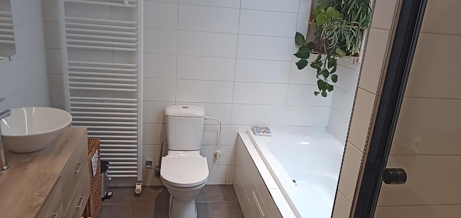 Lodgerivierenhof Antwerpen Ngoại thất bức ảnh